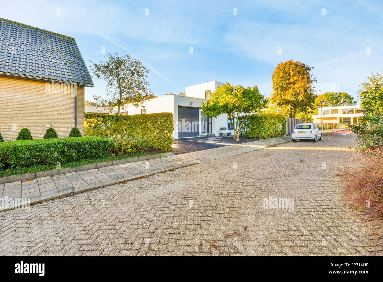 Eine Auffahrt vor einem Haus mit Bäumen und Büschen auf beiden Seiten der Straße, neben dem ein weißer Van geparkt ist Stockfoto