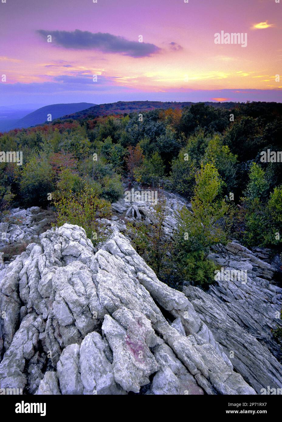 Kittantinny oder Blue Mountain Ridge bei Lehigh Furnace Gap, Pennsylvania Stockfoto