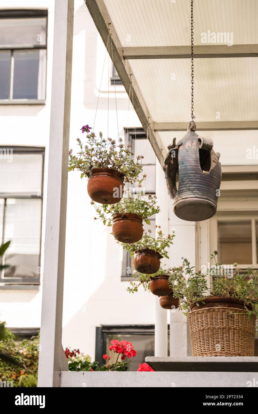 Amsterdam, Niederlande - 10. April 2021: Einige Töpfe und Blumen, die an der Seite eines weißen Hauses mit Fenstern auf dem Foto hängen, werden an einem sonnigen Tag aufgenommen Stockfoto