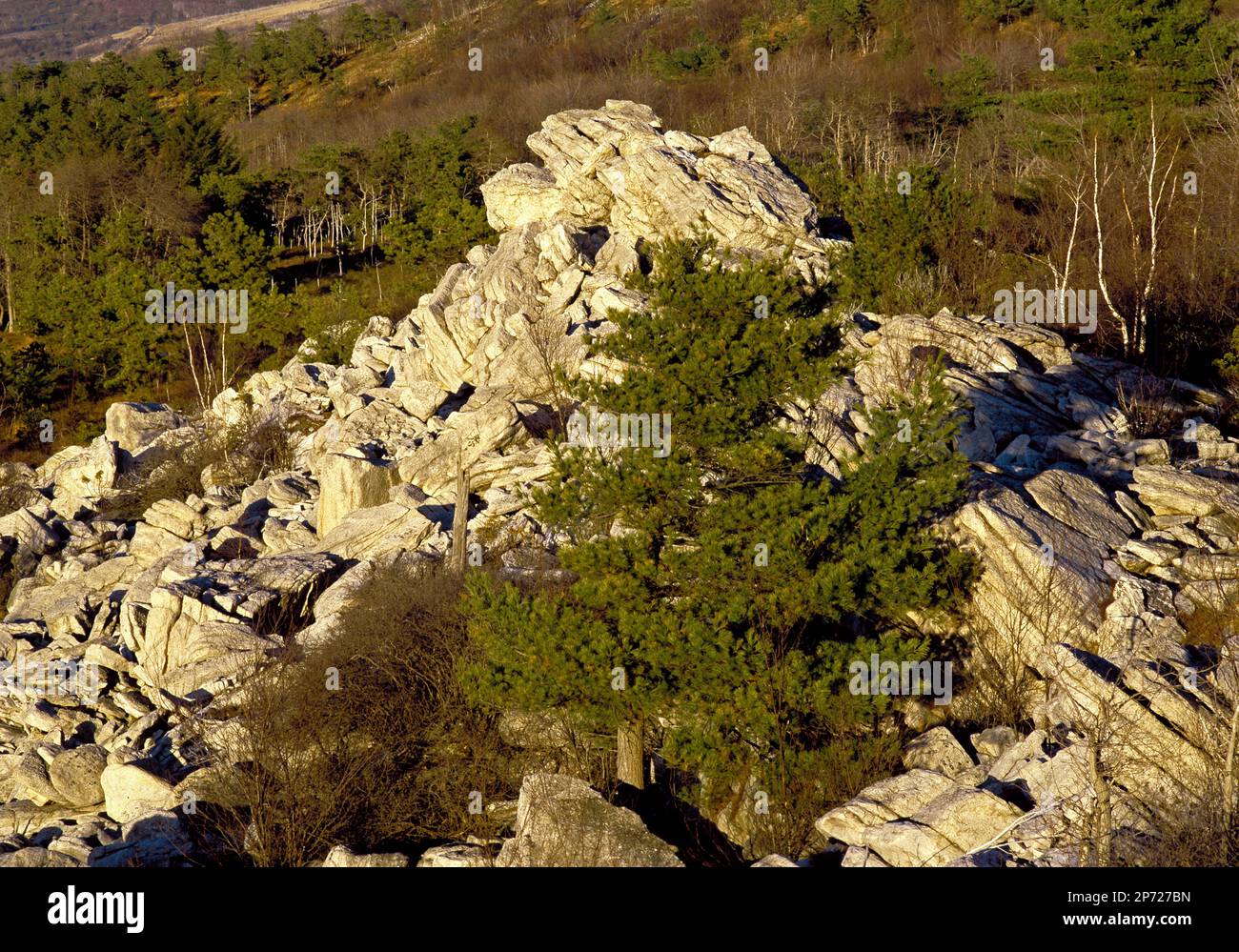 Ein Quarzit, der sich entlang der Appalachian Trai in der Nähe von Leigh Furnace Pennsylvania abragt Stockfoto