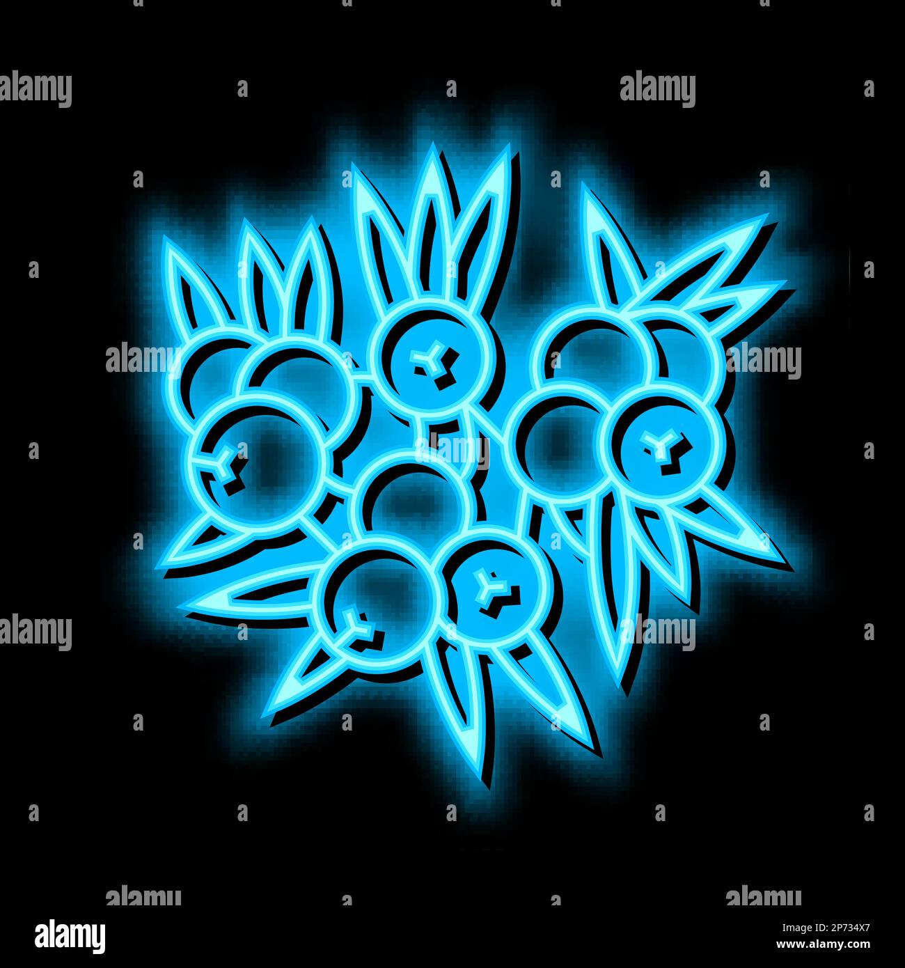 Abbildung des leuchtenden Symbols „wacholderbeere Neon“ Stock Vektor