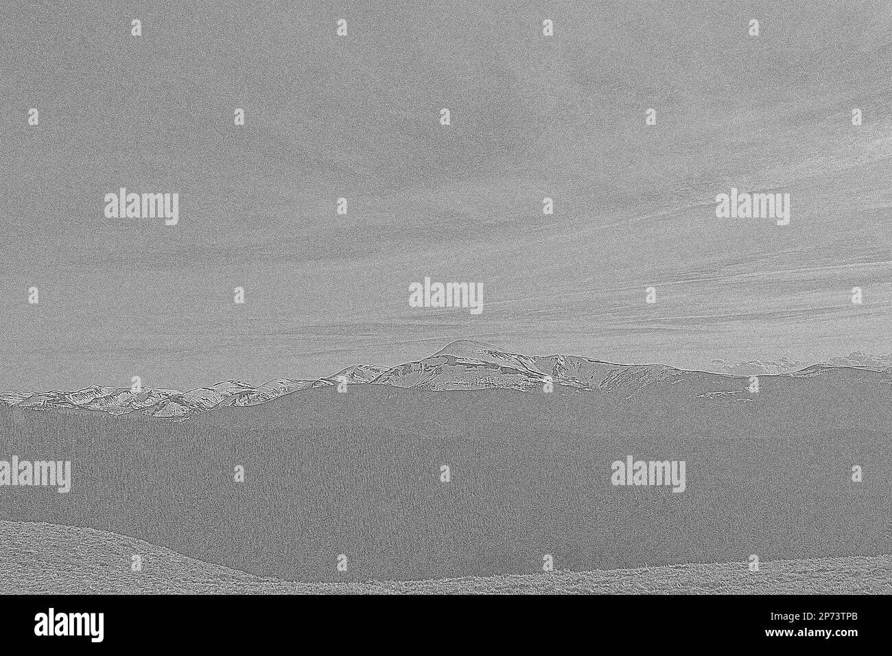 Kiefernwälder mit friedlichen Bergen, die handgezeichnet sind. Fotorealistische Schwarzweiß-Landschaftszeichnung. Hochwertige Naturlandschaft Stockfoto