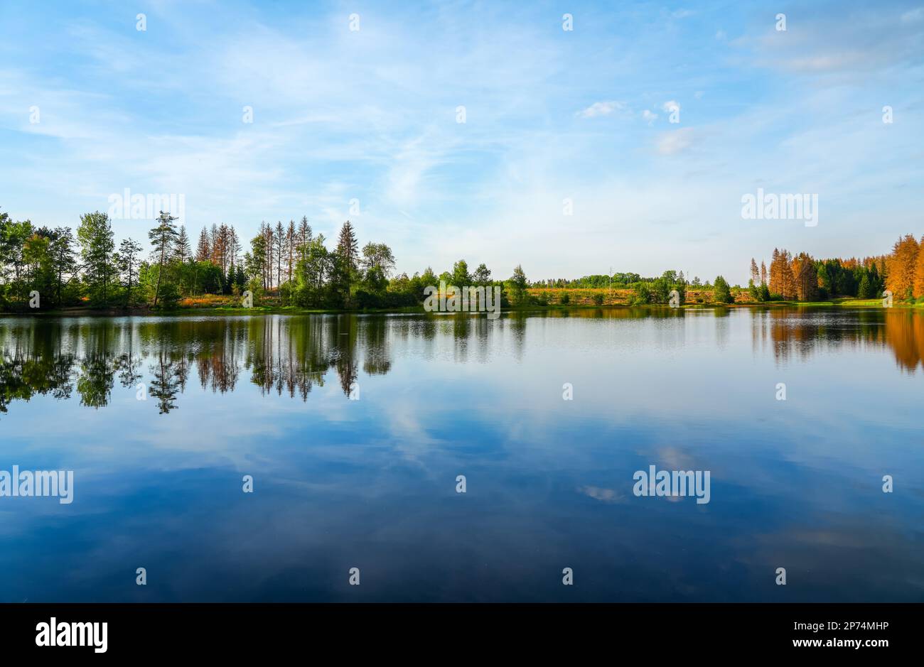 Natur am oberen Nassenwieser Teich im HarzGebirge. Blick auf den Teich