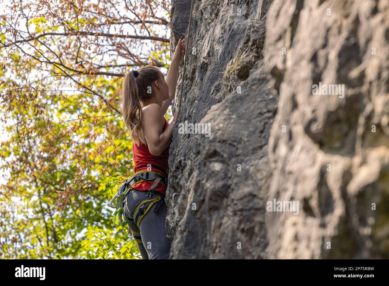 Fokussierte Frau, die auf den hohen Felsen in den Bergen klettert. Abenteuer und Extremsport in Aktion Stockfoto