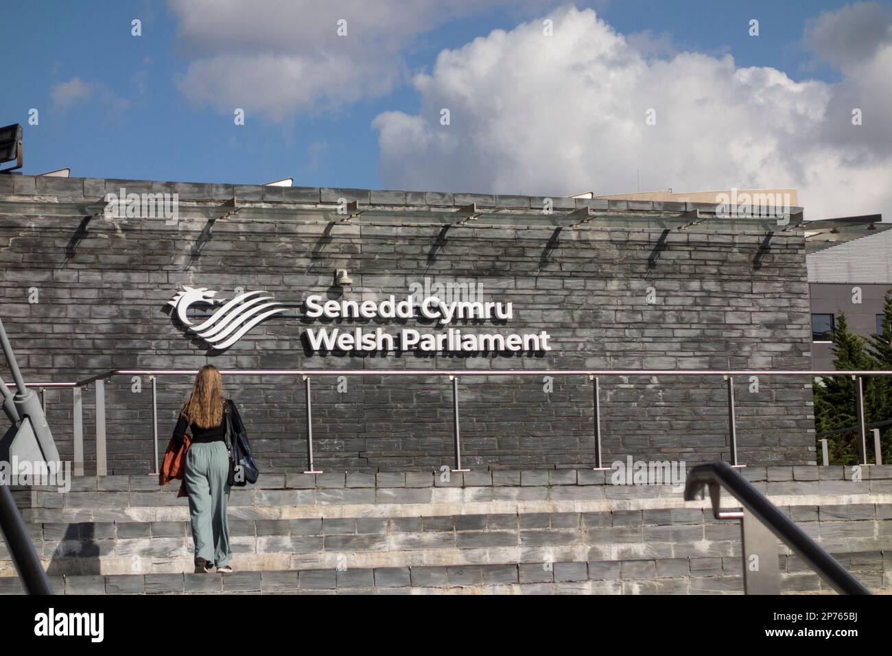 Senedd-Gebäude (walisisches Parlament), Cardiff Bay, Wales Stockfoto