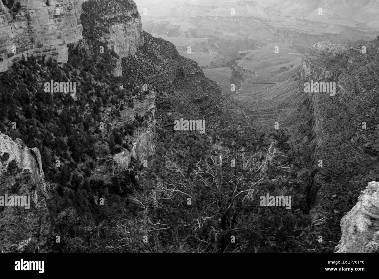 Landschaft des Grand Canyon. Nationalpark. Arizona USA. Südrand. Stockfoto