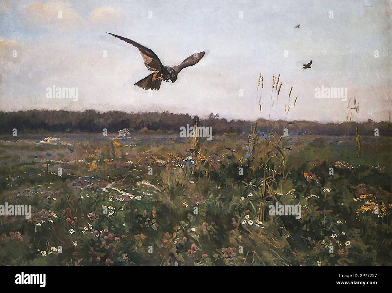 Chełmoński Józef — Jastrząb. - Chelmonski Józef - Goshawk. Wetter - Polnische Schule - Stockfoto