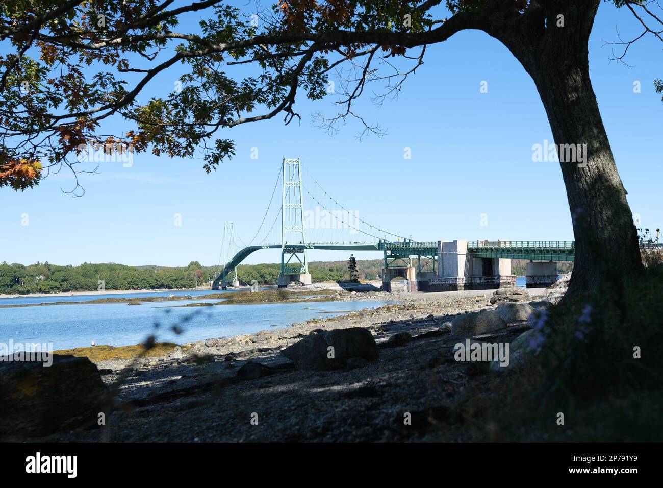 10 04 2022, Deer Isle, Maine, USA: Blick auf die von einem Baum umrahmte Hirschinsel-Brücke Stockfoto