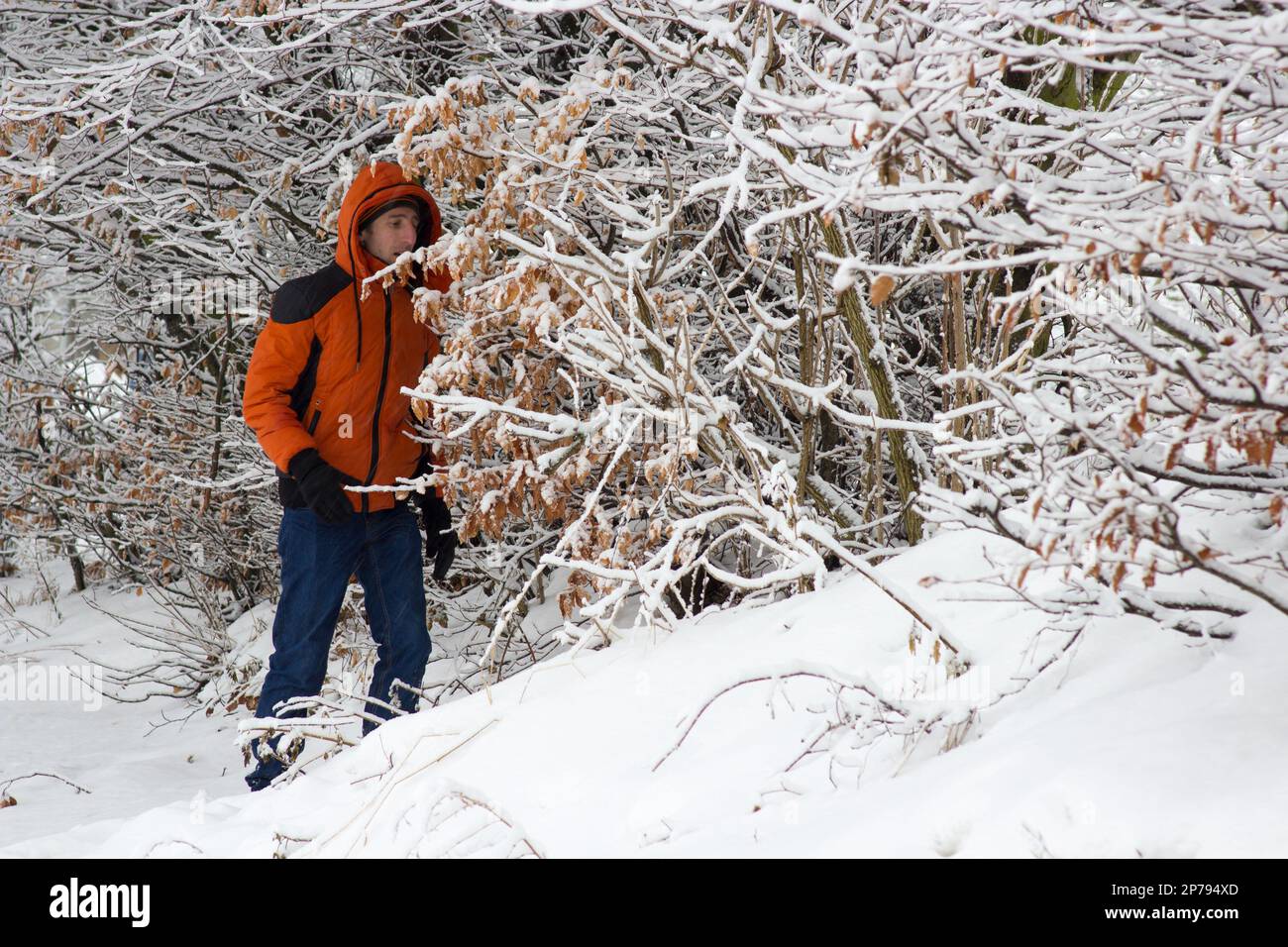 Im Winter verirrten sich die Touristen in den Bergen im Wald Stockfoto