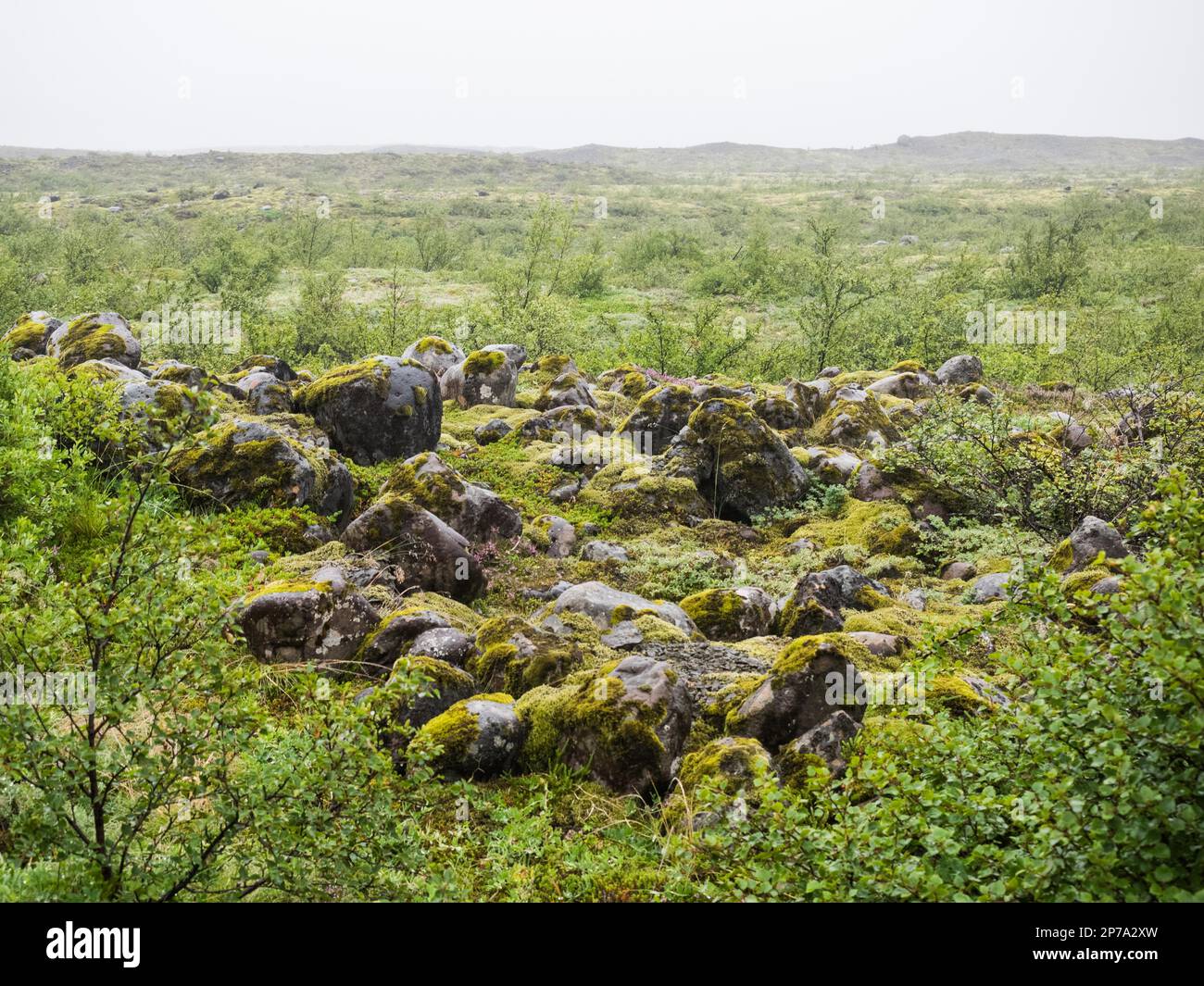 Einsame, regnerische Landschaft, Skaftafell-Nationalpark, Island Stockfoto