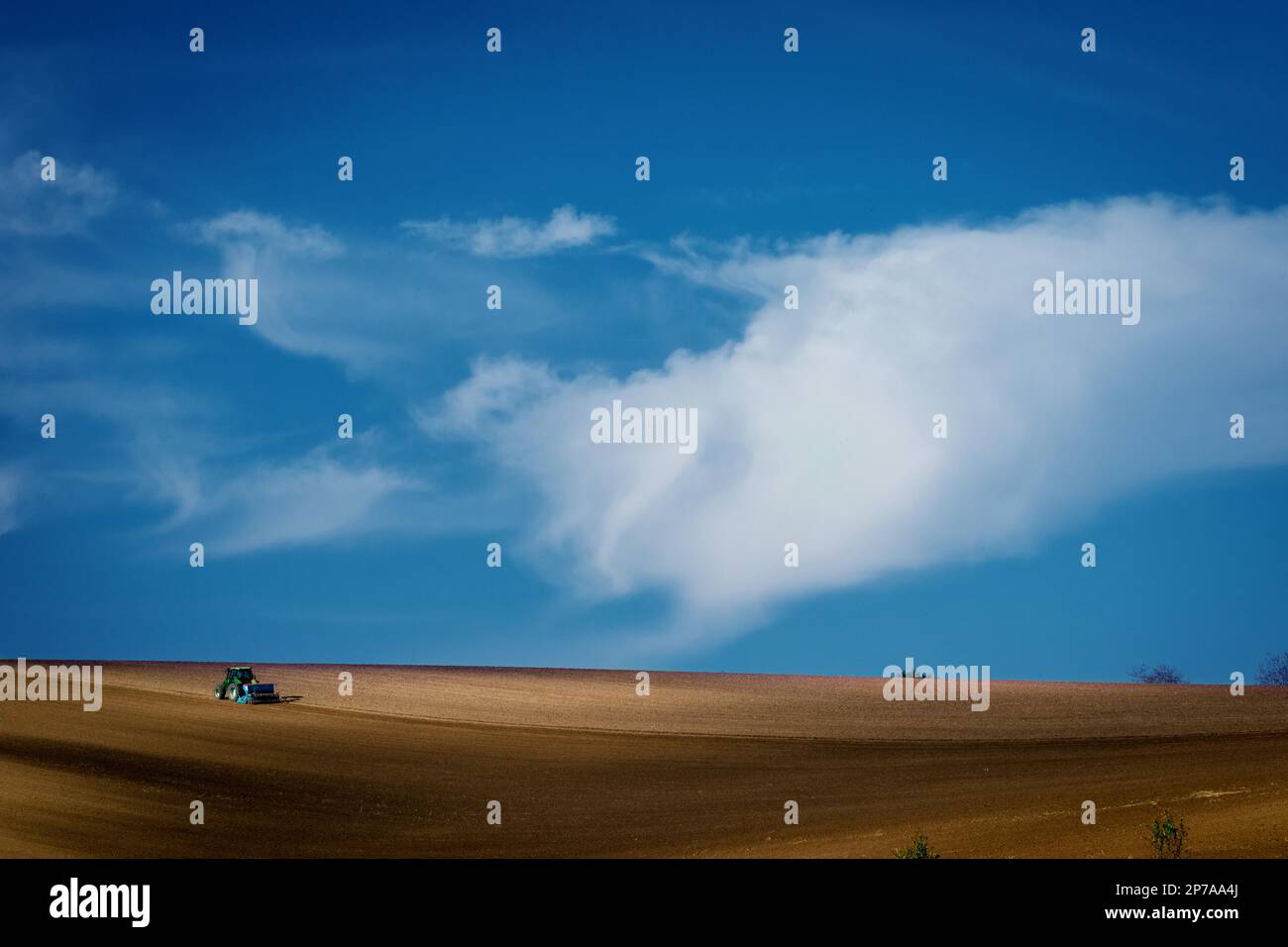 Arbeiten mit einem landwirtschaftlichen Traktor auf mährischen Feldern. Ein wunderbarer blauer Himmel. Tschechische Republik, Mähren, Tschechische Republik, Europa Stockfoto