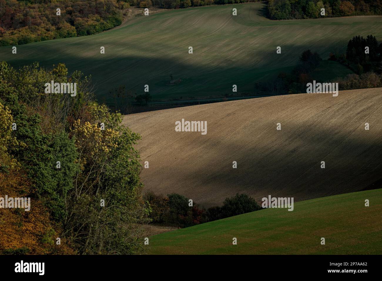 Ein wunderschönes Schattenspiel auf den hügeligen Feldern Tschechiens Mähren, Mähren, Tschechiens und Europas Stockfoto