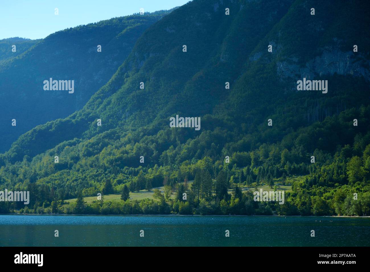 Seitensonnenlicht an bewaldeten Berghängen über dem Wocheinsee (Bohinjsko jezero). Slowenien, Stara Fuzina, Triglav-Nationalpark Stockfoto