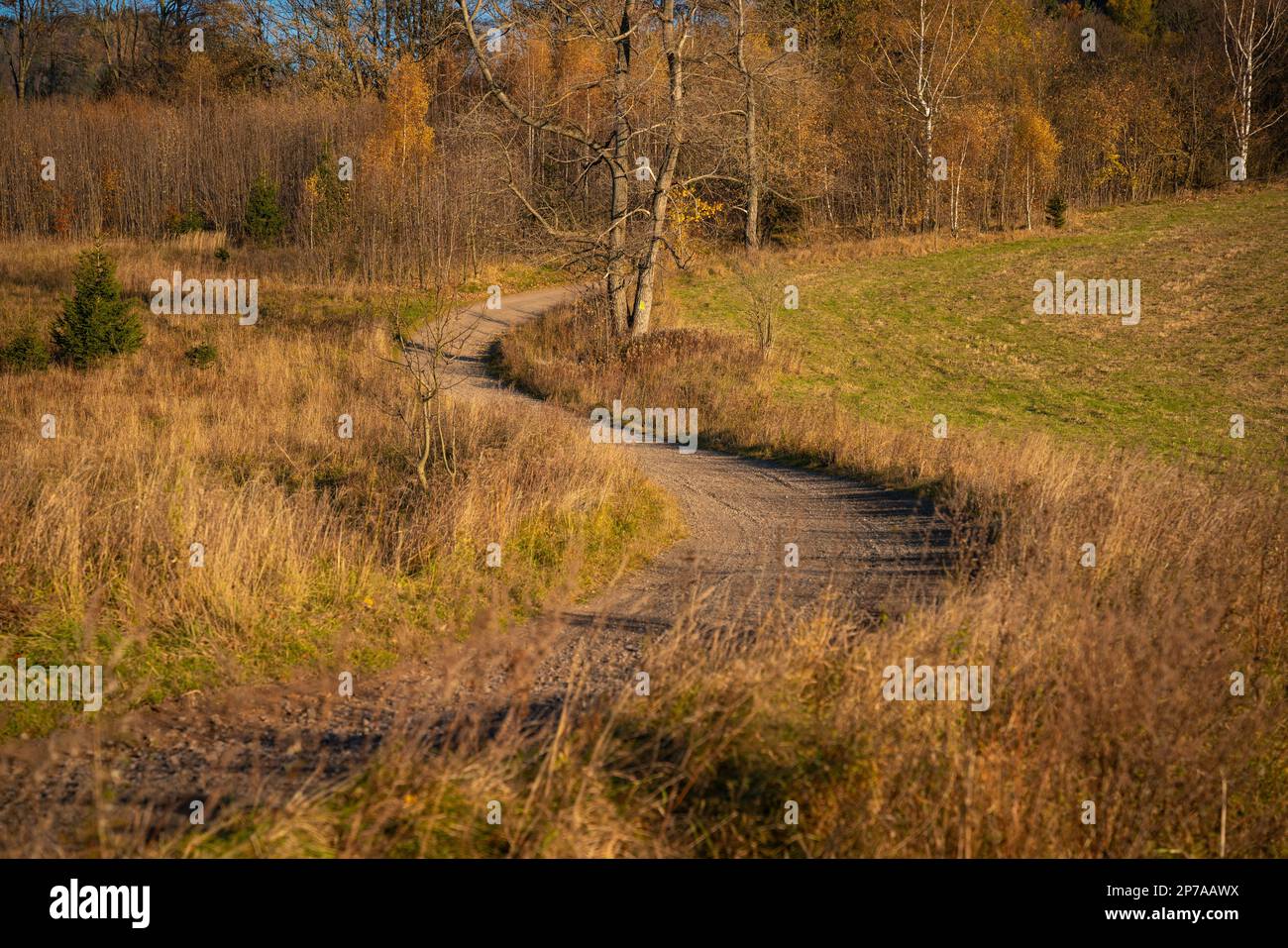 Eine Straße, die sich durch Felder und Wiesen schlängelt. Teil des Wanderwegs. Polnische Berge, Polen, Europa Stockfoto
