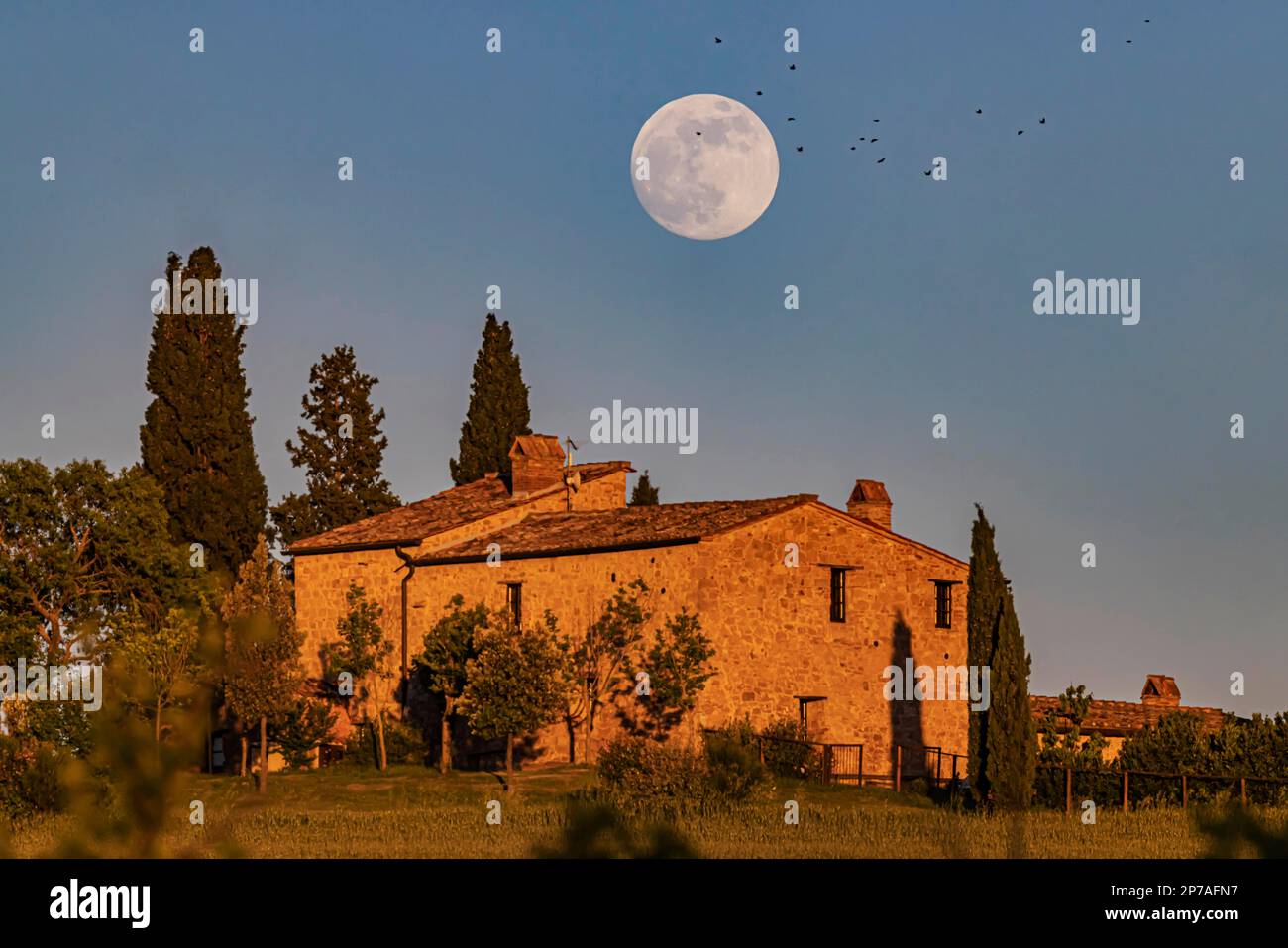 Vollmond über Pienza in der Toskana vor einem typischen Landhaus mit Zypressen, Pienza, Provinz Siena, Italien Stockfoto