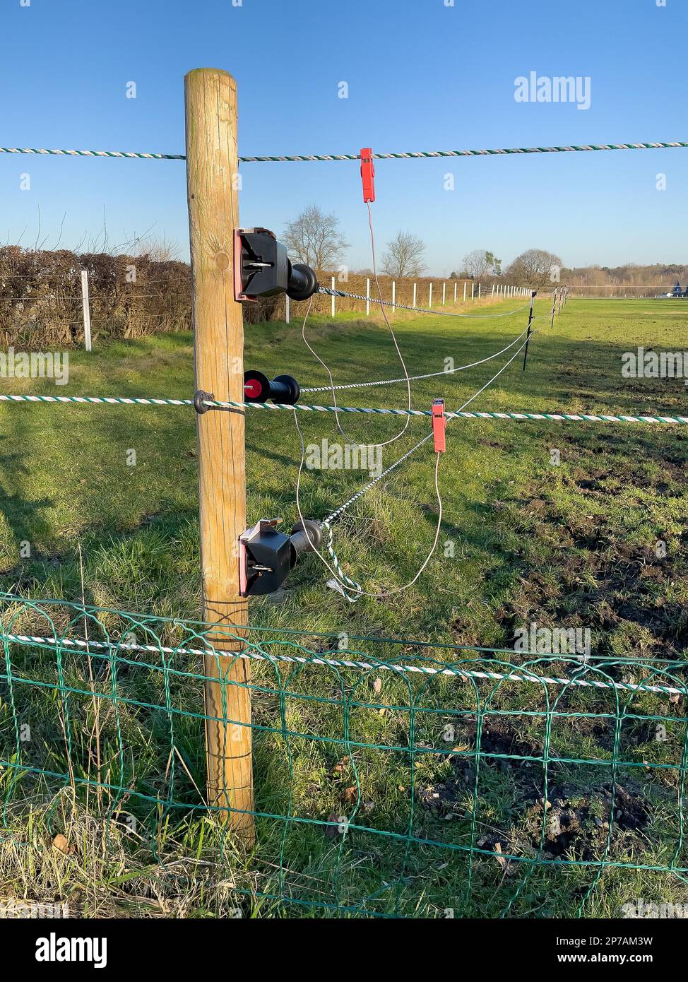 Neu installierter moderner Elektrozaun im Wolfsgebiet Schermbeck, unter einem zusätzlichen Drahtgitterzaun, Kirchhellen, Nordrhein-Westfalen, Deutschland Stockfoto