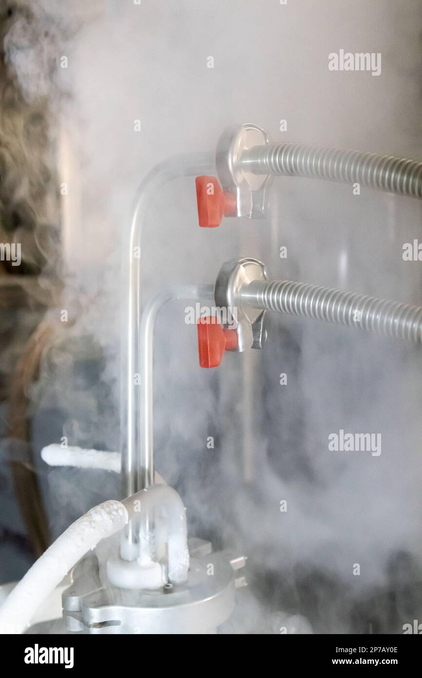 Flüssiges Stickstoffgas, das aus einem unter Druck stehenden Tank austritt und mit Metallrohren und roten Handventilen verbunden ist. Stockfoto