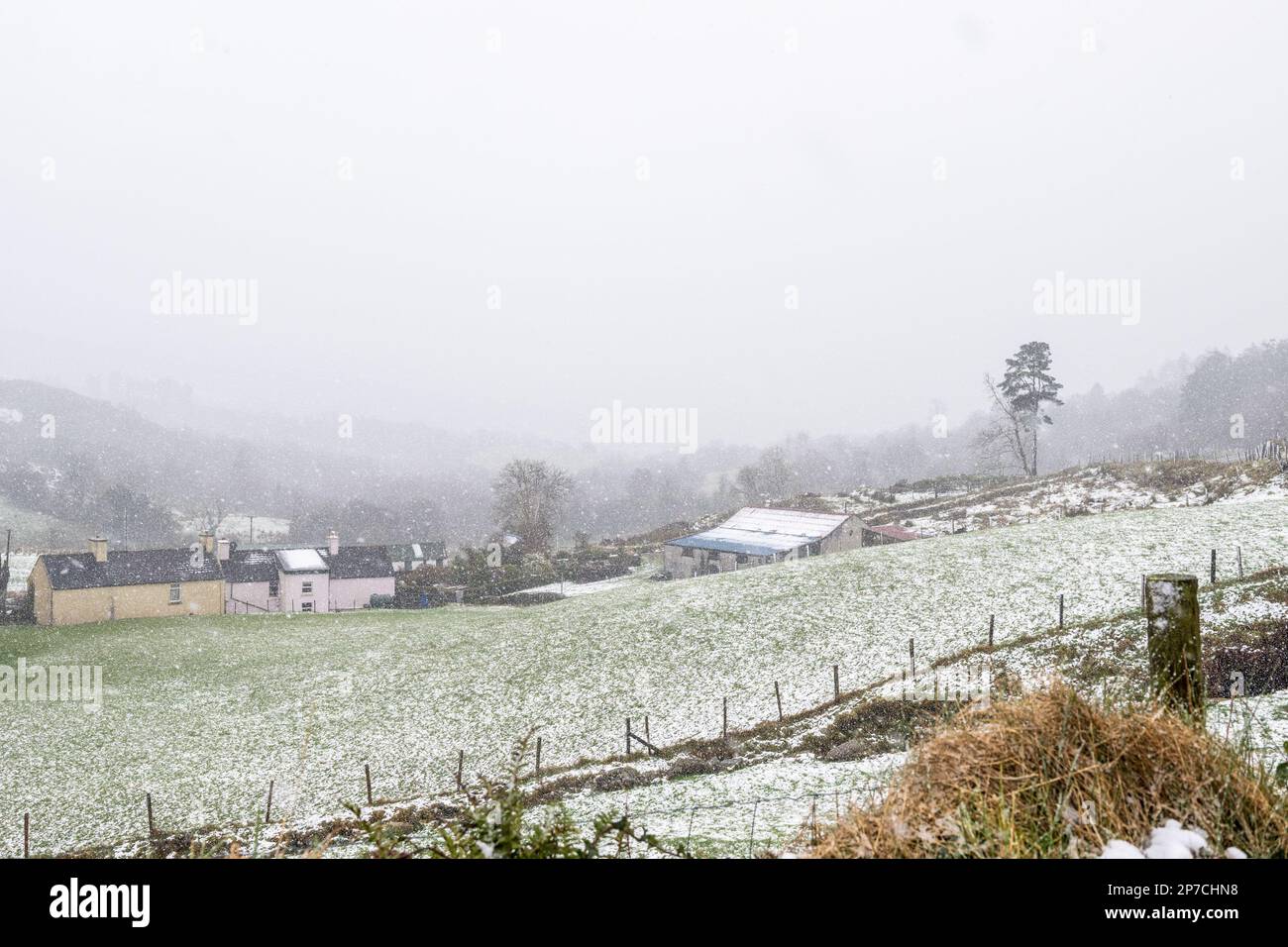 Gougane Barra, West Cork, Irland. 8. März 2023. Teile von West Cork sind heute mit starkem Schnee bedeckt, und Schneeschauern werden den Rest des Tages voraussichtlich anhalten. Met Eireann hat eine gelbe Schnee- und Eiswetterwarnung für morgen herausgegeben. Kredit: AG News/Alamy Live News Stockfoto
