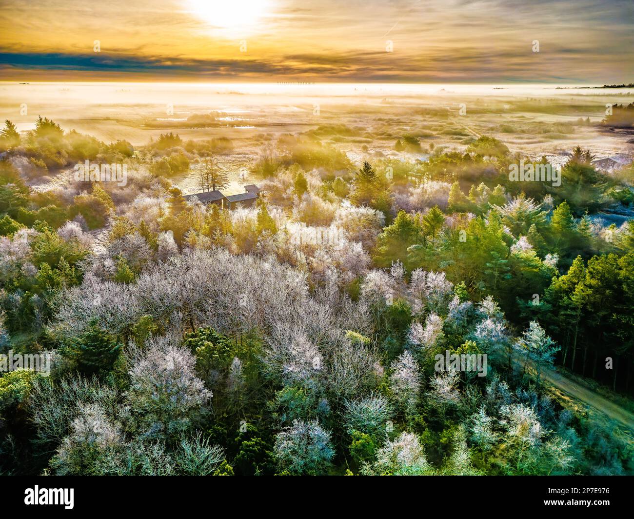 Frostige Morgenlandschaft in Deinem ländlichen Teil von Dänemark Stockfoto