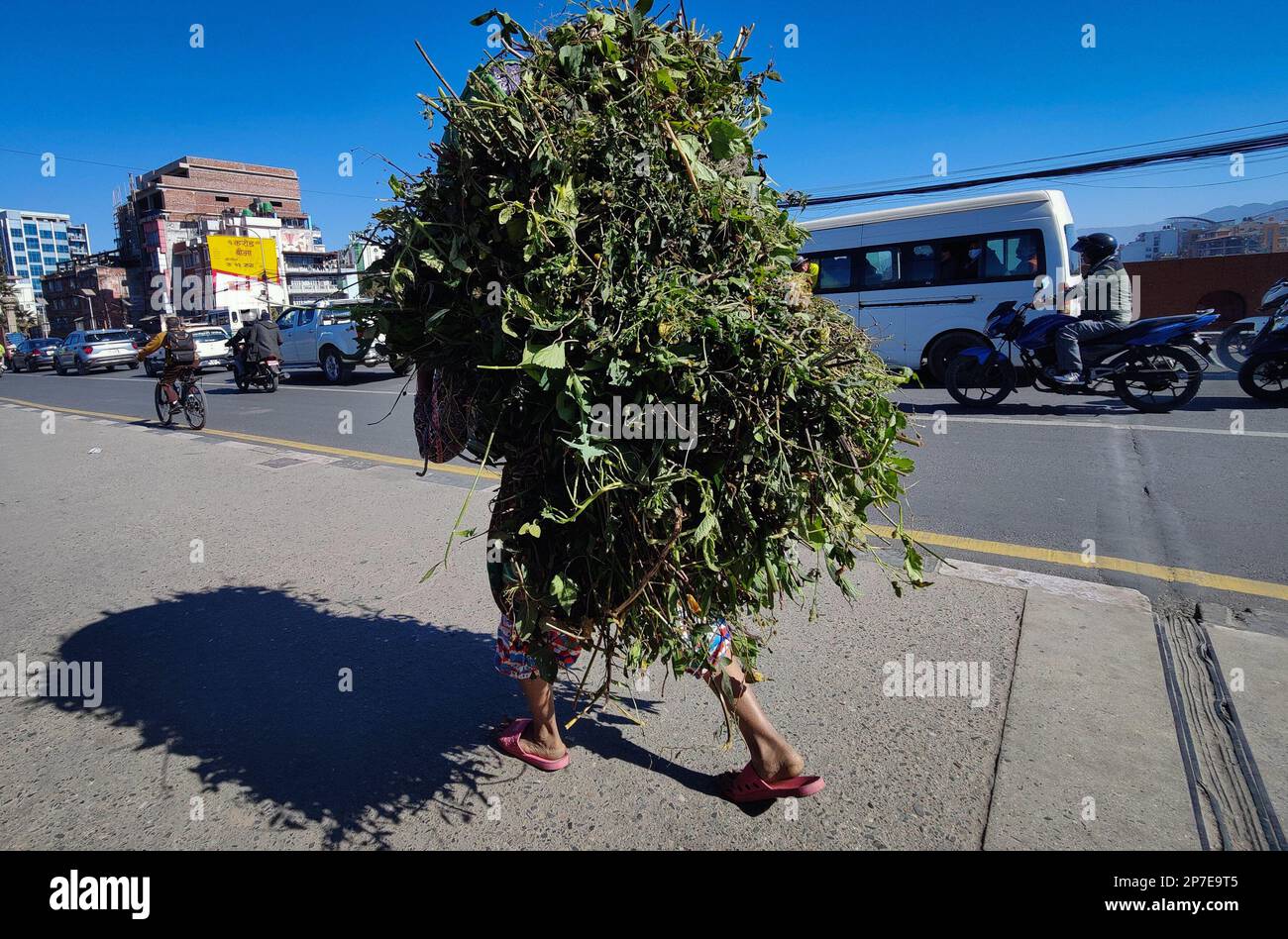 Kathmandu, Bagmati, Nepal. 8. März 2023. Eine Frau mit einer Ladung Gras auf dem Rücken läuft am Internationalen Frauentag in Kathmandu, Nepal, am 8. März 2023 auf einer belebten Straße. Das Thema des diesjährigen Internationalen Frauentags ist „Embrace Equity“ (Kreditbild: © Sunil Sharma/ZUMA Press Wire) – NUR REDAKTIONELLE VERWENDUNG! Nicht für den kommerziellen GEBRAUCH! Stockfoto