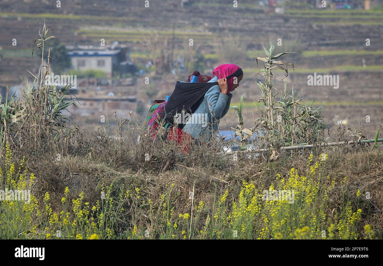 Kathmandu, Bagmati, Nepal. 8. März 2023. Frauen, die Wassergläser mit sich führen, gehen am 8. März 2023 am Internationalen Frauentag in Khokana in Lalitpur, Nepal, in der Nähe des Senffelds spazieren. Das Thema des diesjährigen Internationalen Frauentags ist „Embrace Equity“ (Kreditbild: © Sunil Sharma/ZUMA Press Wire) – NUR REDAKTIONELLE VERWENDUNG! Nicht für den kommerziellen GEBRAUCH! Stockfoto