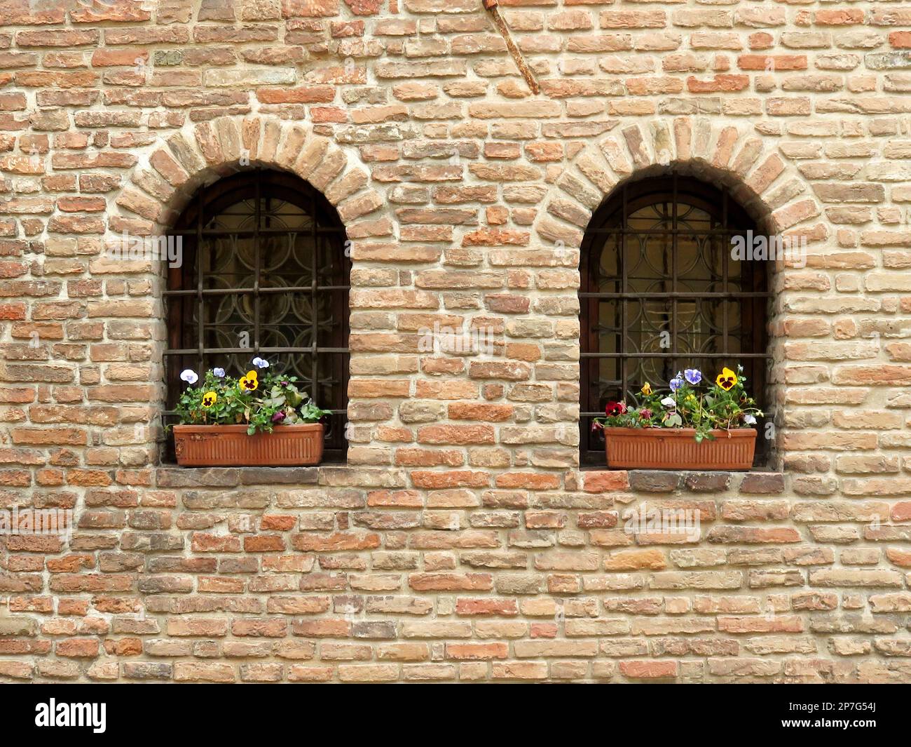 Topfblumen, zwei Fenster, Backsteinwand Stockfoto
