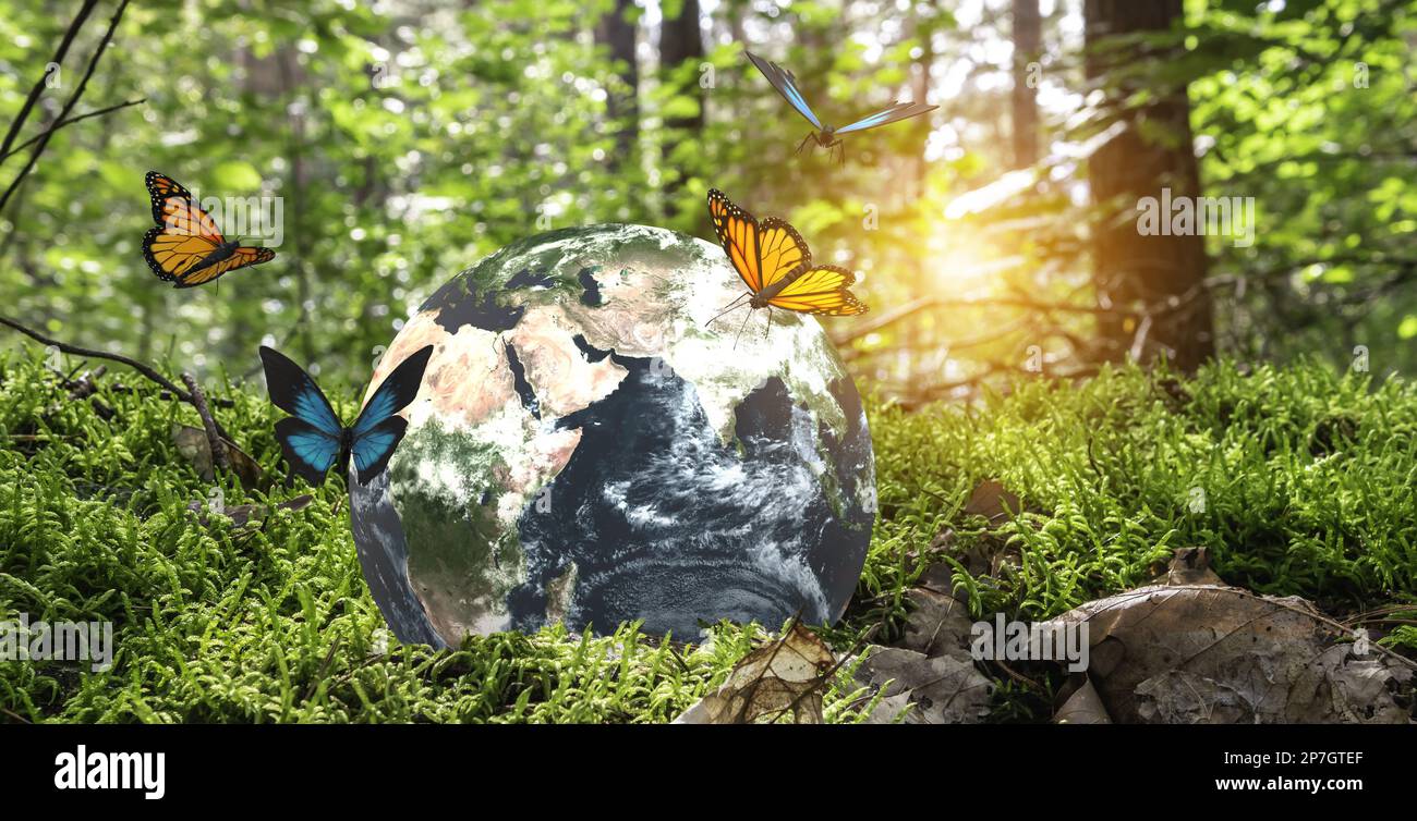 Umweltschutzkonzept: Schmetterlinge rund um den Globus auf grünem Moos in der Natur. Stockfoto