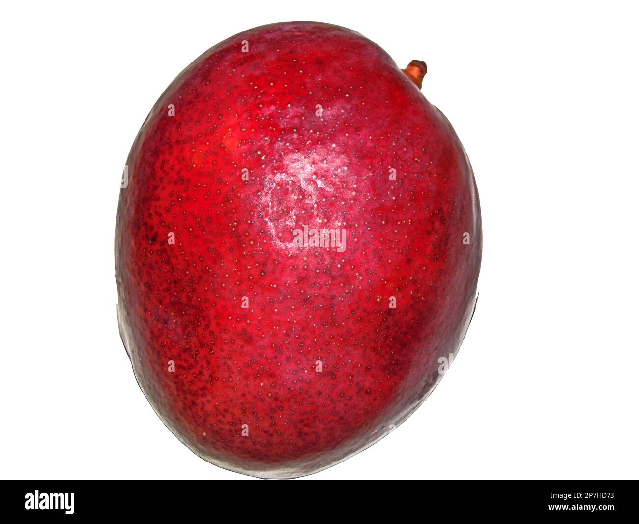 Mango-Frucht isoliert auf weißem Hintergrund Stockfoto