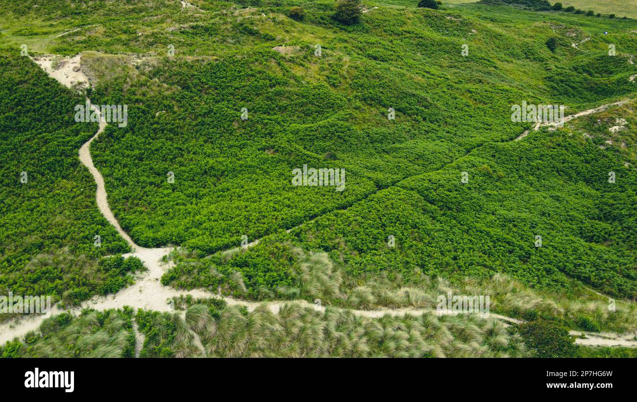 Hügeliges Gelände. Sandige Hügel mit grünen Pflanzen. Querformat, Draufsicht. Stockfoto