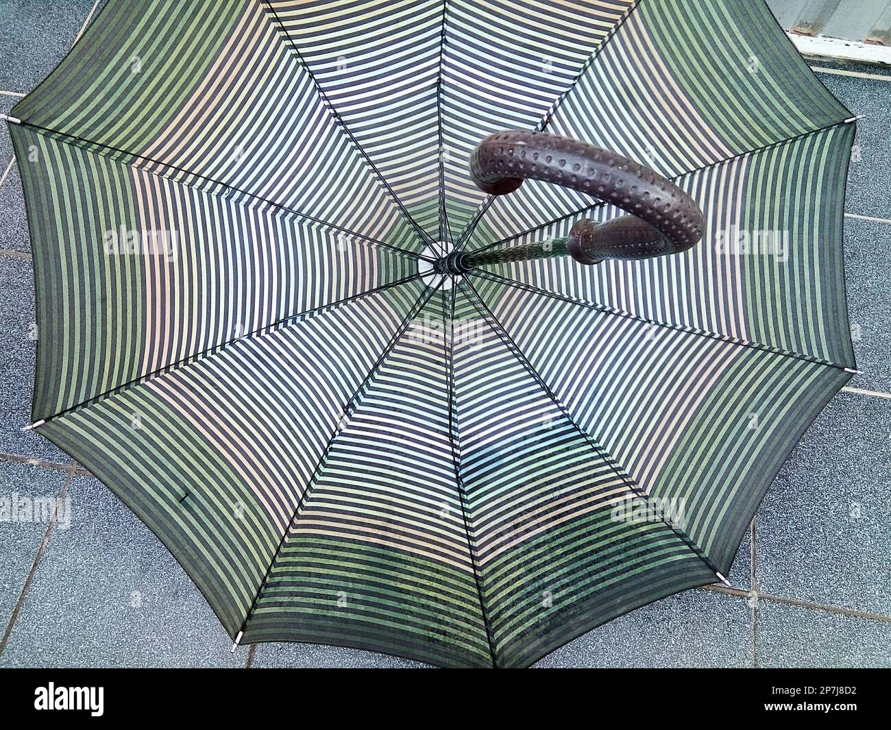 Regenschirm - Objekt Stockfoto