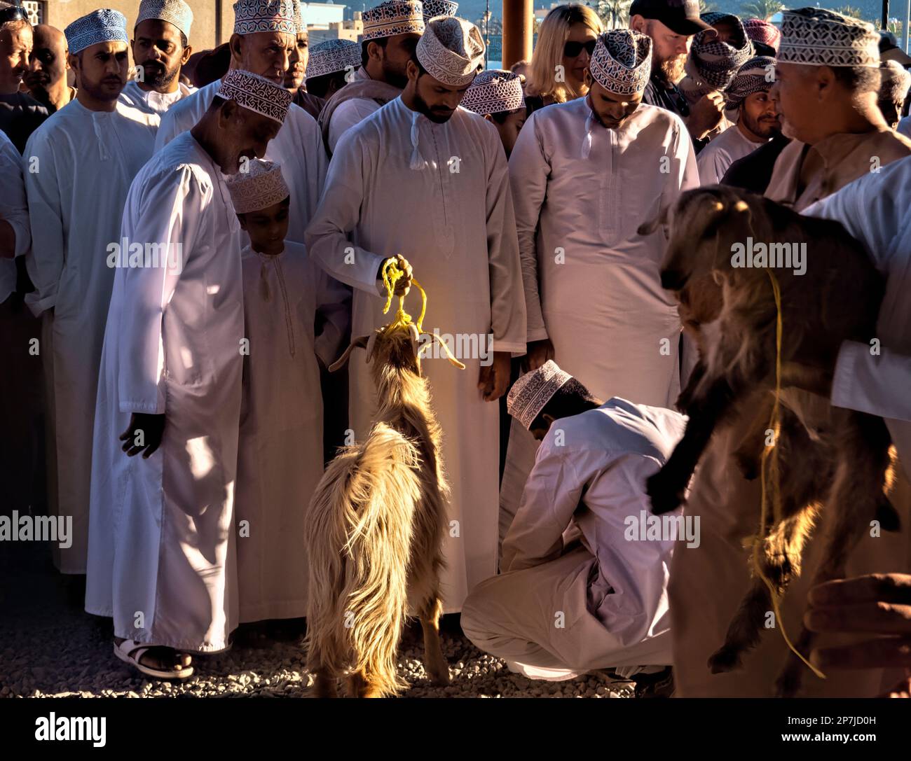 Szenen vom chaotischen Ziegenmarkt, Nizwa, Oman Stockfoto
