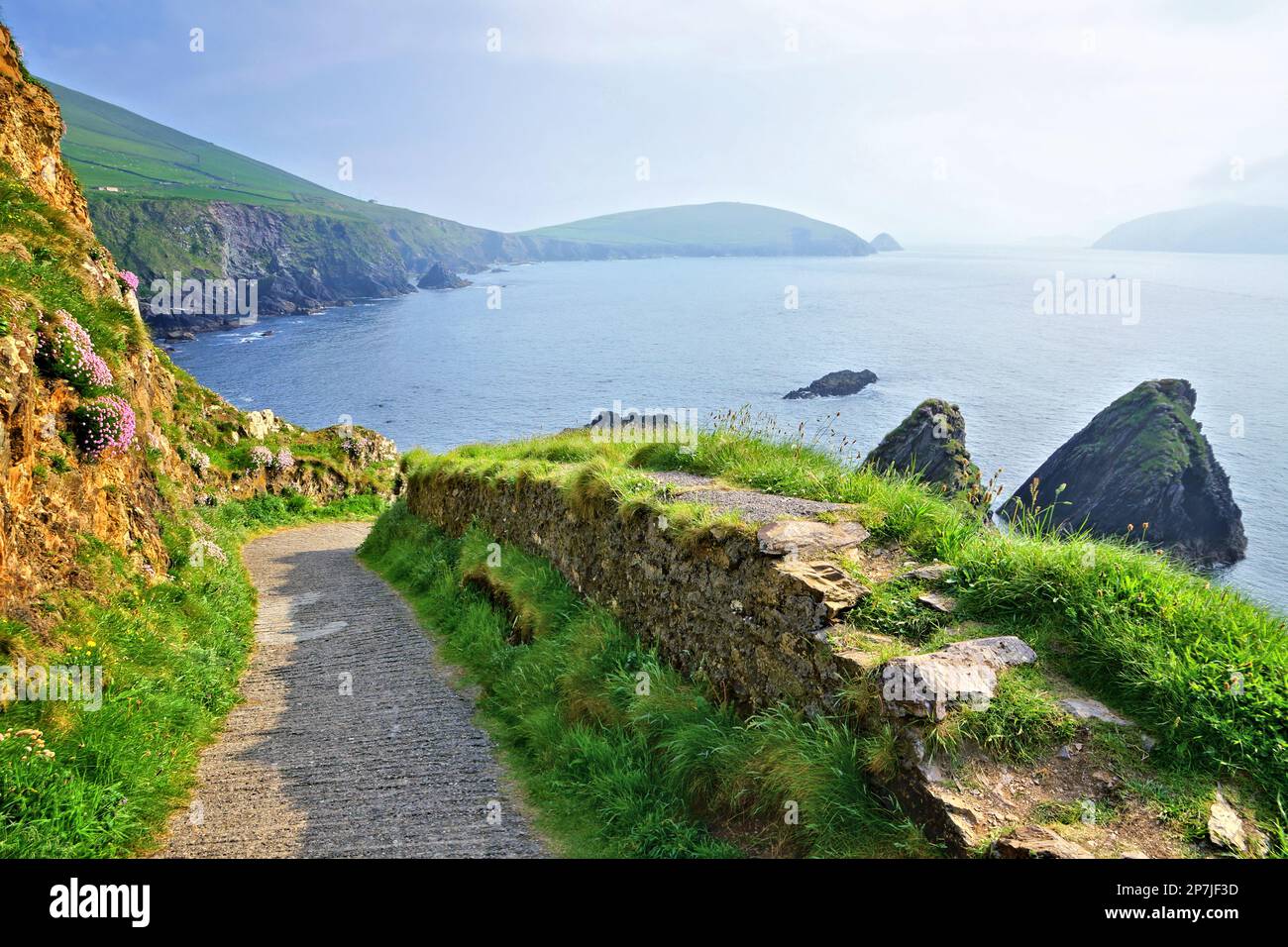 Straße in Richtung der felsigen Küste des Dunquin Harbour, Halbinsel Dingle, County Kerry, Irland Stockfoto