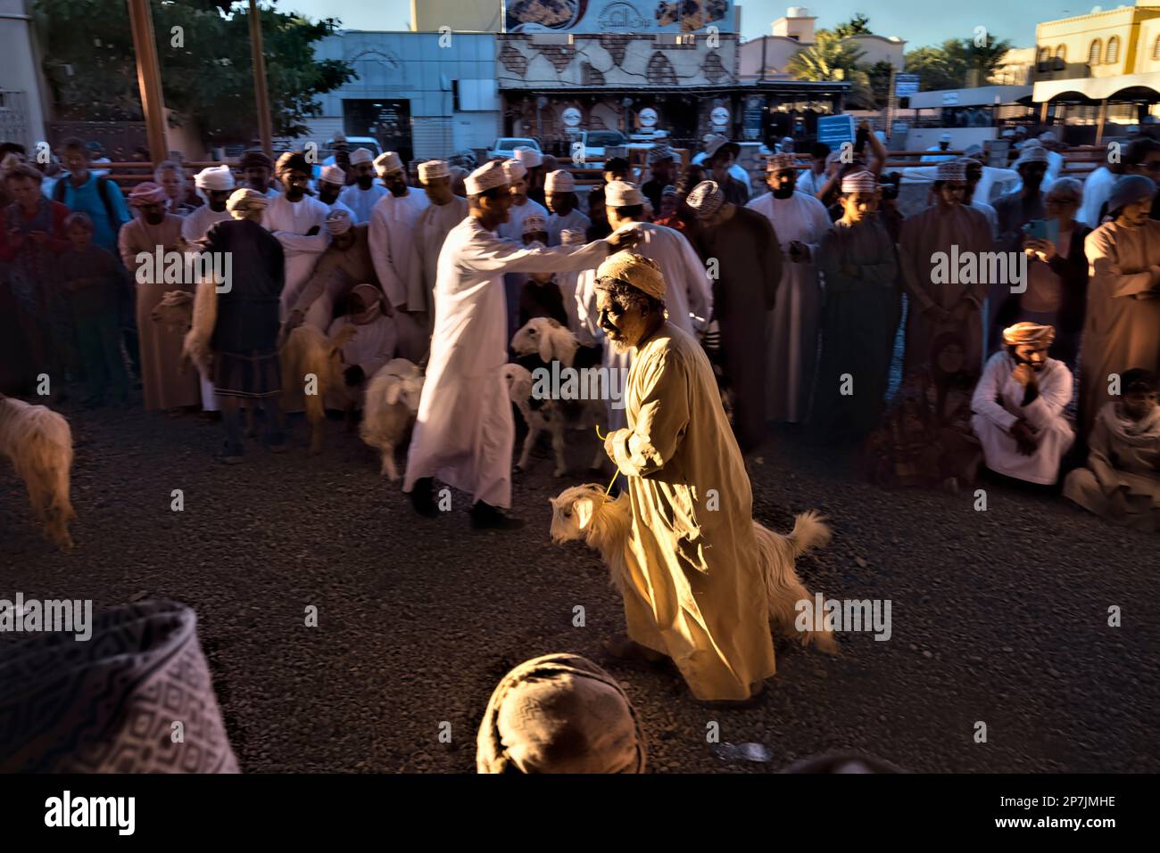 Szenen vom chaotischen Ziegenmarkt, Nizwa, Oman Stockfoto