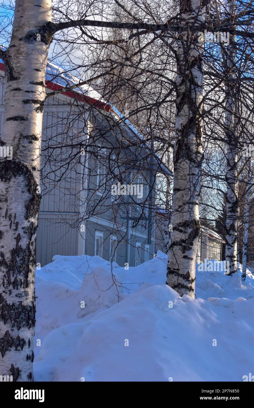 Wunderschöne superfinnische Winterlandschaft mit weißem finnischem Holzhaus im Winter mit Schnee bedeckt. Kalt. Stockfoto