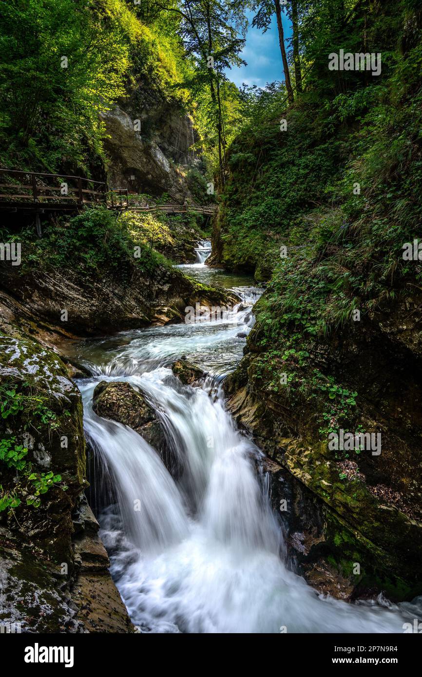 Wunderschöner, glatter Wasserfall in einer Dschungelumgebung, in der Vintgar-Schlucht, Bled, Slowenien Stockfoto