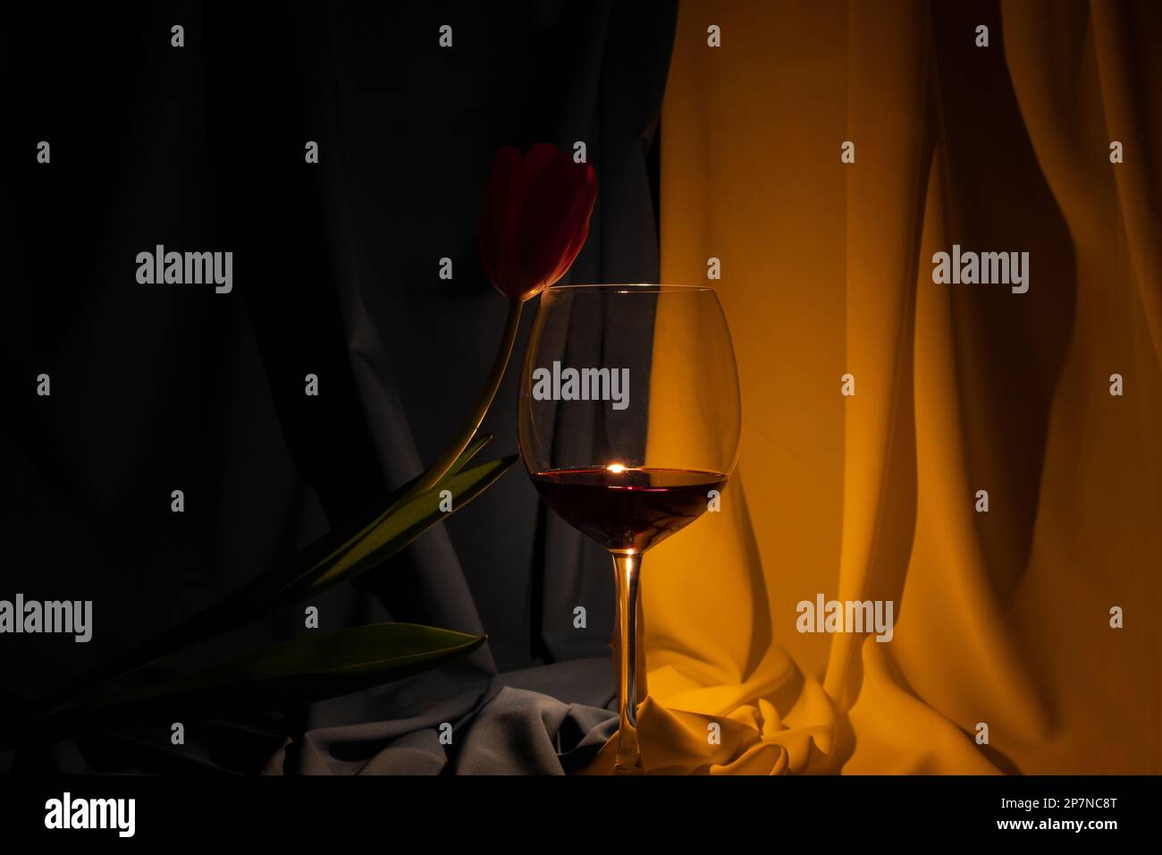 Tulpe und ein Glas mit Rotwein auf dem Hintergrund der ukrainischen Flagge im Dunkeln, Kultur Stockfoto