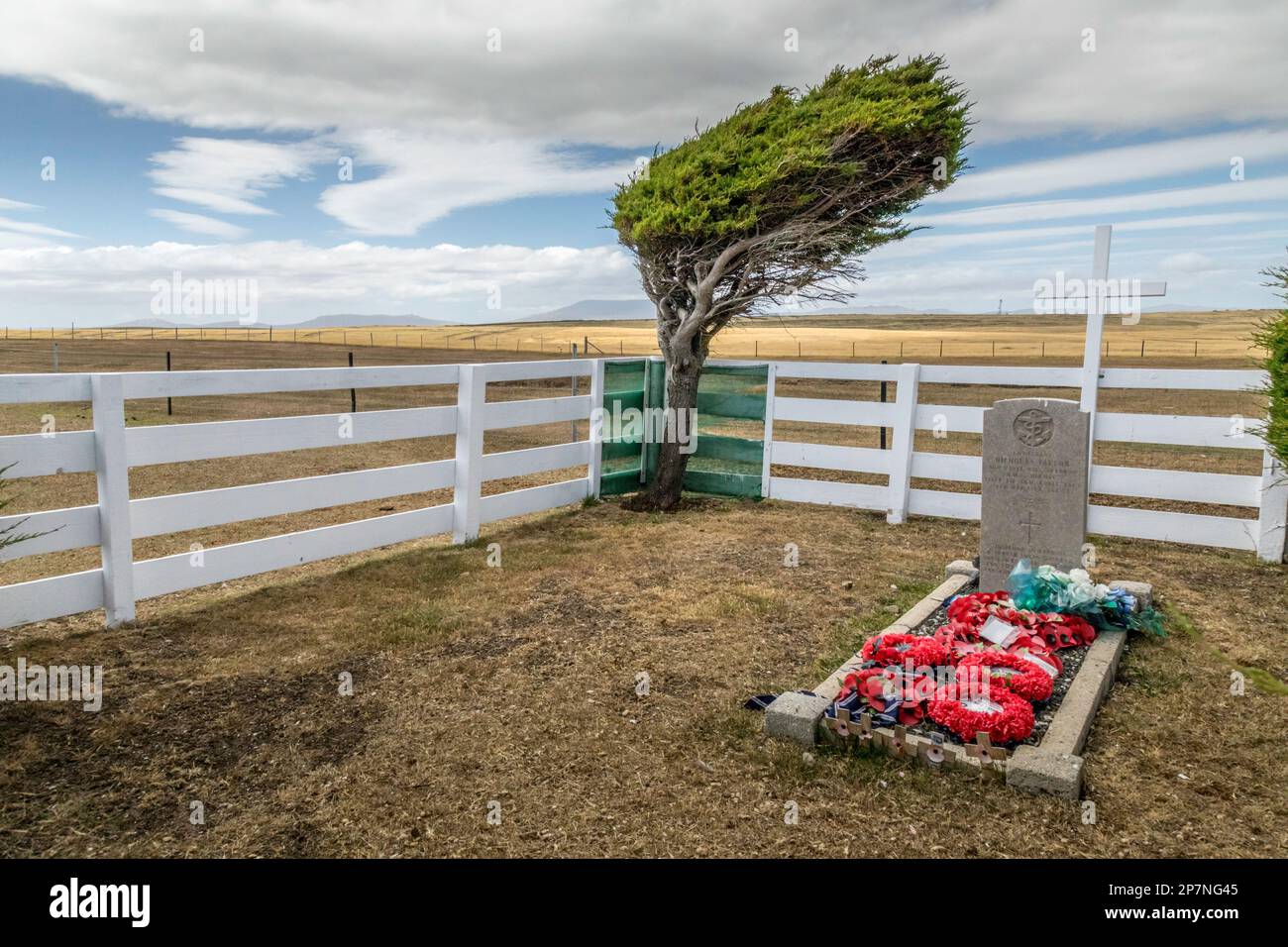 Das Grab von Lieutenant Nick Taylor, Royal Navy, in der Nähe von Goose Green auf den Falklandinseln. Er wurde am 4. Mai 1982 in seiner Sea Harrier abgeschossen. Stockfoto
