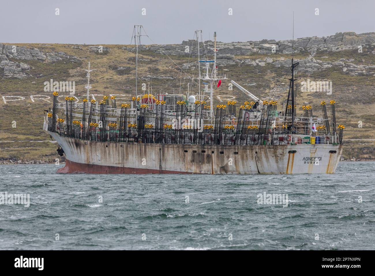 The AGNES 101 , ein Fischereischiff oder Jigger aus Südkorea, das im Hafen von Stanley, Falklandinseln, vor Anker liegt. 1991 erbaut. Stockfoto