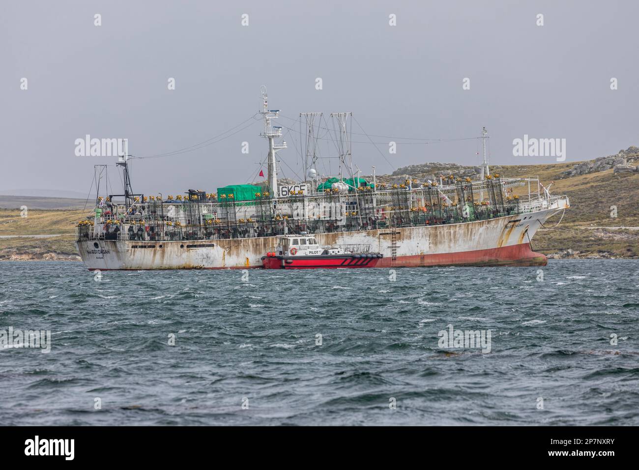 Die Nr. 601 DAGAH , ein Fischereischiff, oder Jigger, aus Südkorea, ankert im Hafen von Stanley, Falkland Islands. 1986 erbaut. Stockfoto