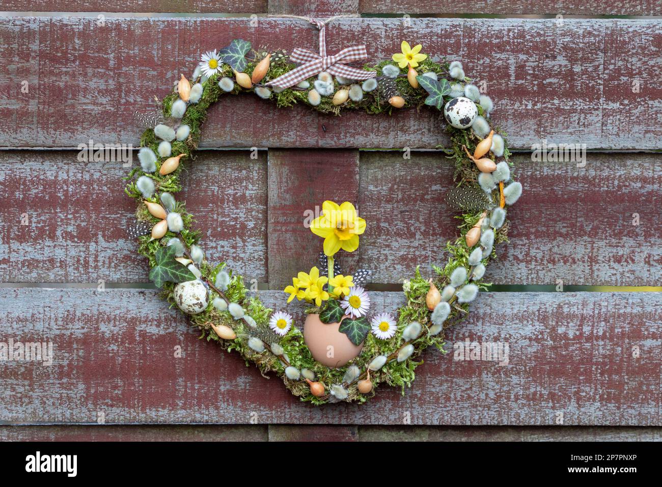 Frühlingskranz in Herzform mit moos, Weidenkatzen, Zwiebelset und Narzissenblüten Stockfoto