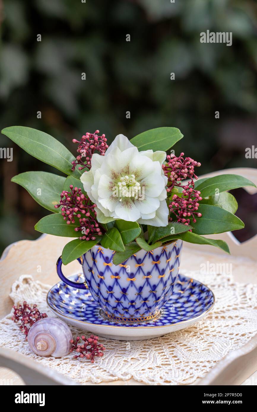 Kleiner Strauß lentener Rose und Skimmia japonica in klassischer Kaffeetasse Stockfoto