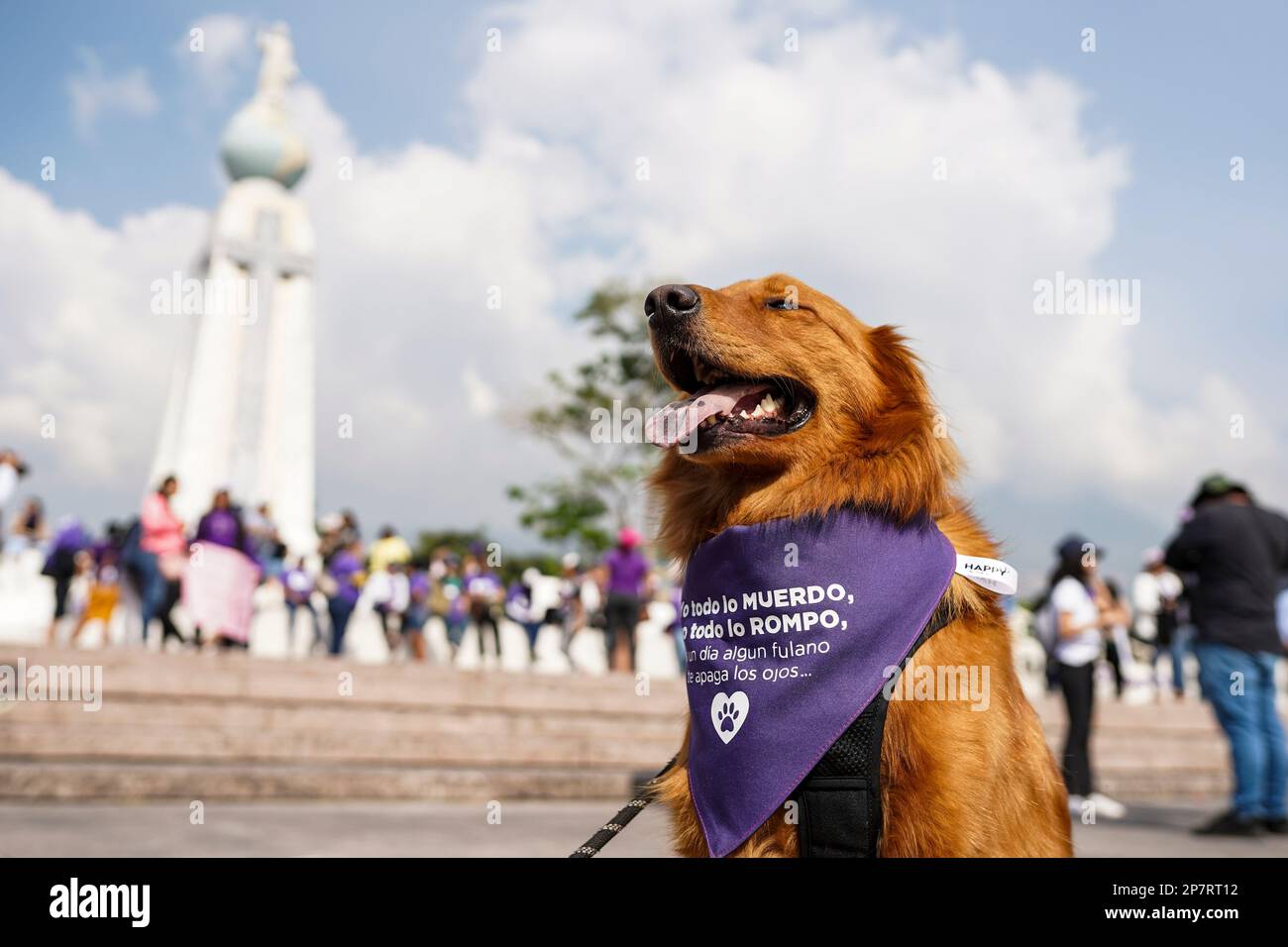 San Salvador, El Salvador. 08. März 2023. Ein Hund trägt während des Marsches zum Internationalen Frauentag einen Schal gegen Femizide. Der Internationale Frauentag im März 8. ist ein Gedenktag, der Gewalt, Ungleichheit und Diskriminierung, unter denen Frauen weltweit leiden, ins Blickfeld rückt. (Foto: Camilo Freedman/SOPA Images/Sipa USA) Guthaben: SIPA USA/Alamy Live News Stockfoto