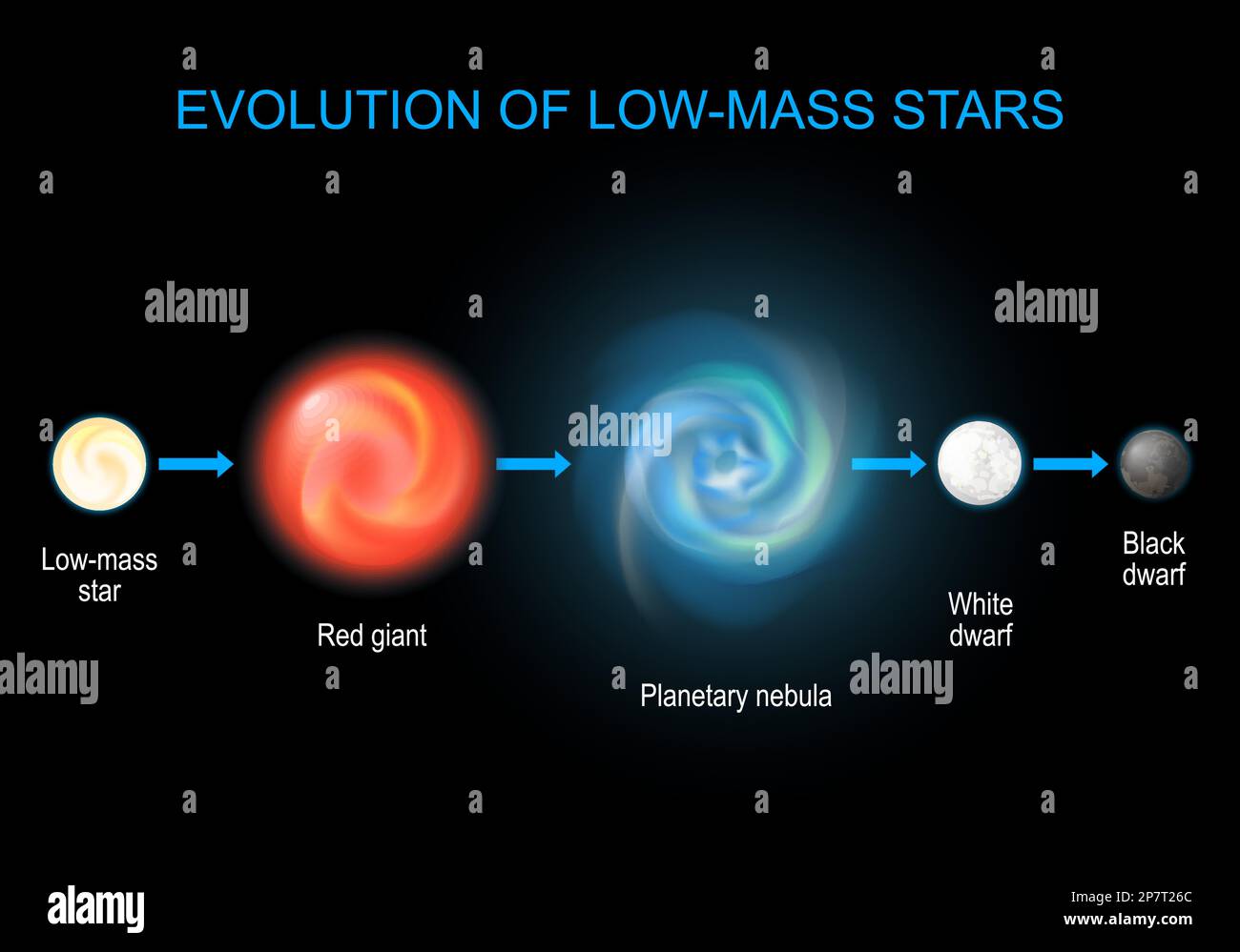 Eine brillante Evolution. Der Lebenszyklus der niedrigen Sterne von Rotriesen und Planetennebel bis zu Schwarzen und Weißen Zwergen. Infografik zur Astronomie. Stock Vektor