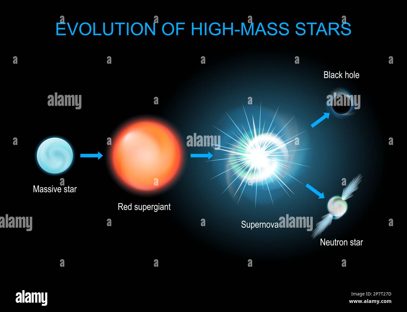 Eine brillante Evolution. Der Lebenszyklus von riesigen Sternen, von roten Superriesen und Supernova bis hin zu schwarzen Löchern und Neutronenstern. Vektorposter über Astronomie. inf Stock Vektor