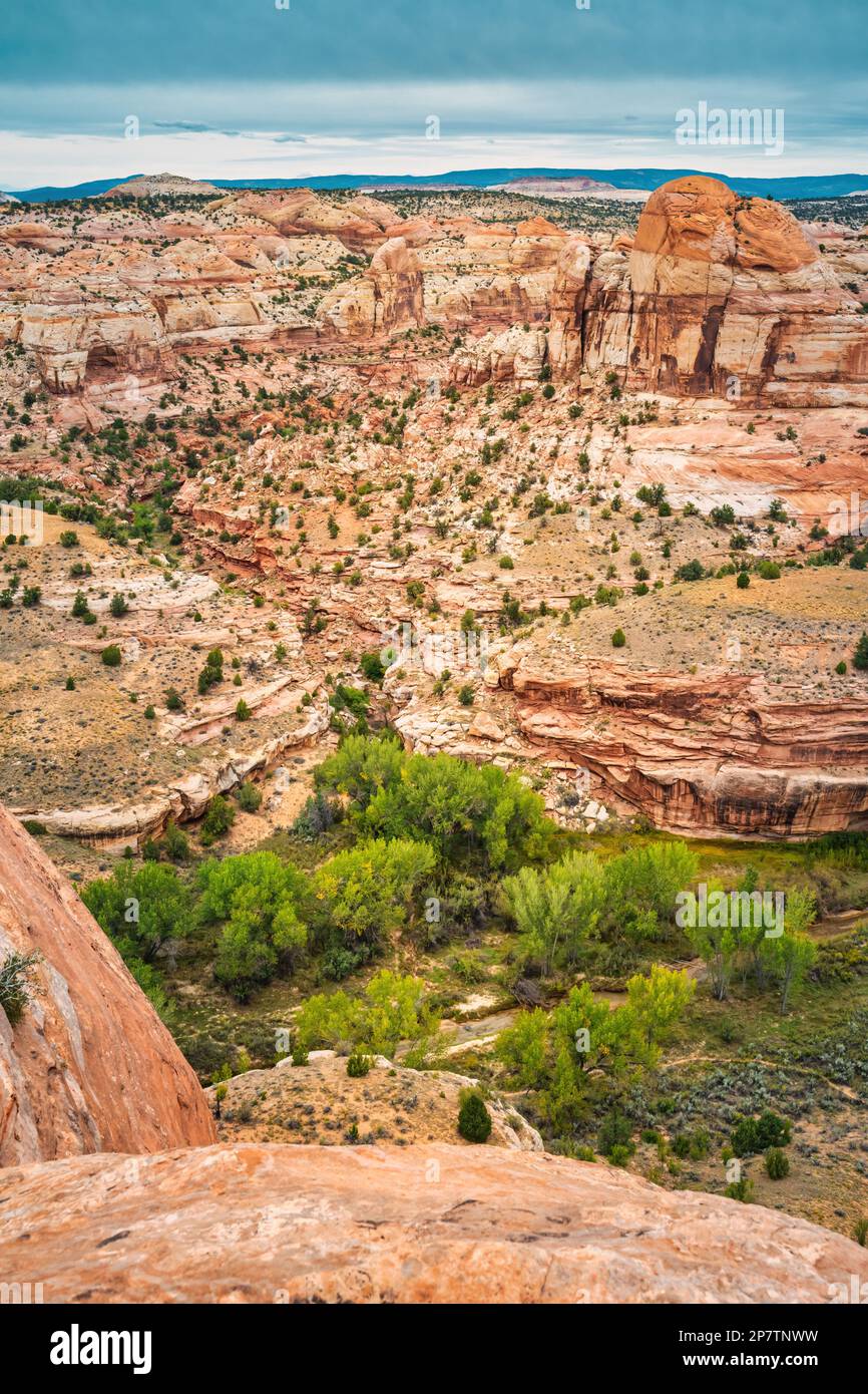 Escalante River Valley im Grand Staircase-Escalante National Monument in der Nähe der Stadt Escalante, Utah, USA. Stockfoto