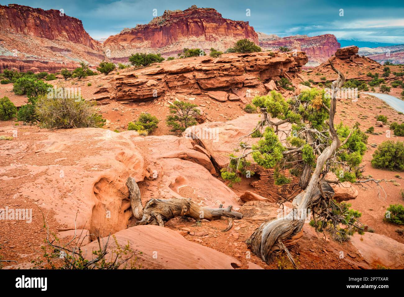 Sunset Point im Capitol Reef National Park in der Nähe von Torrey, Utah, USA. Stockfoto