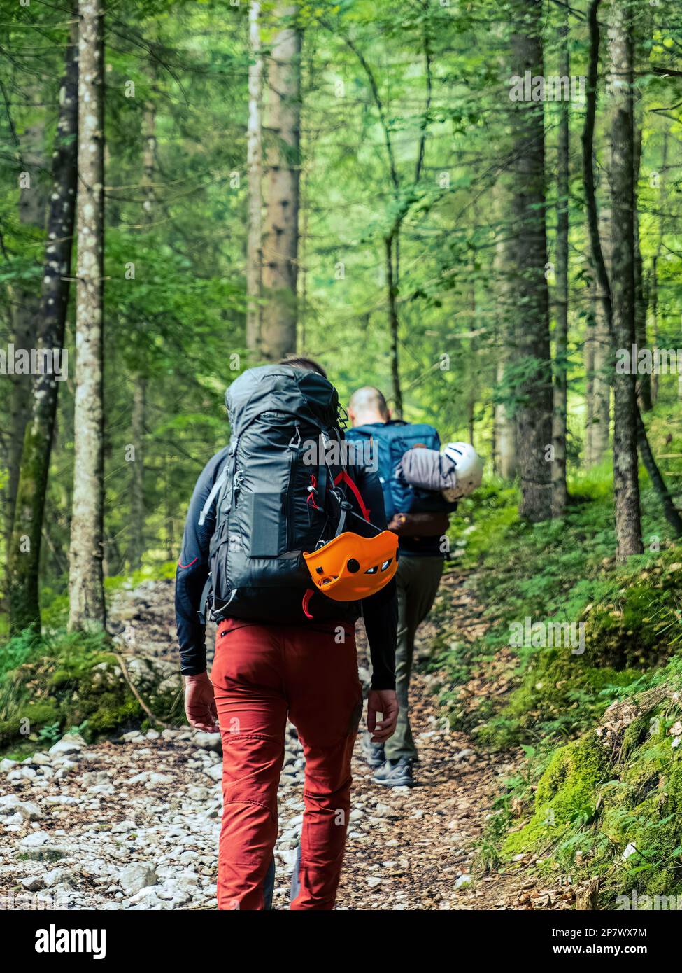 Zwei Männer Bergsteiger Wanderer Wandern durch einen Bergkiefernwald mit Rucksäcken Kletterhelm Ausrüstung Stockfoto