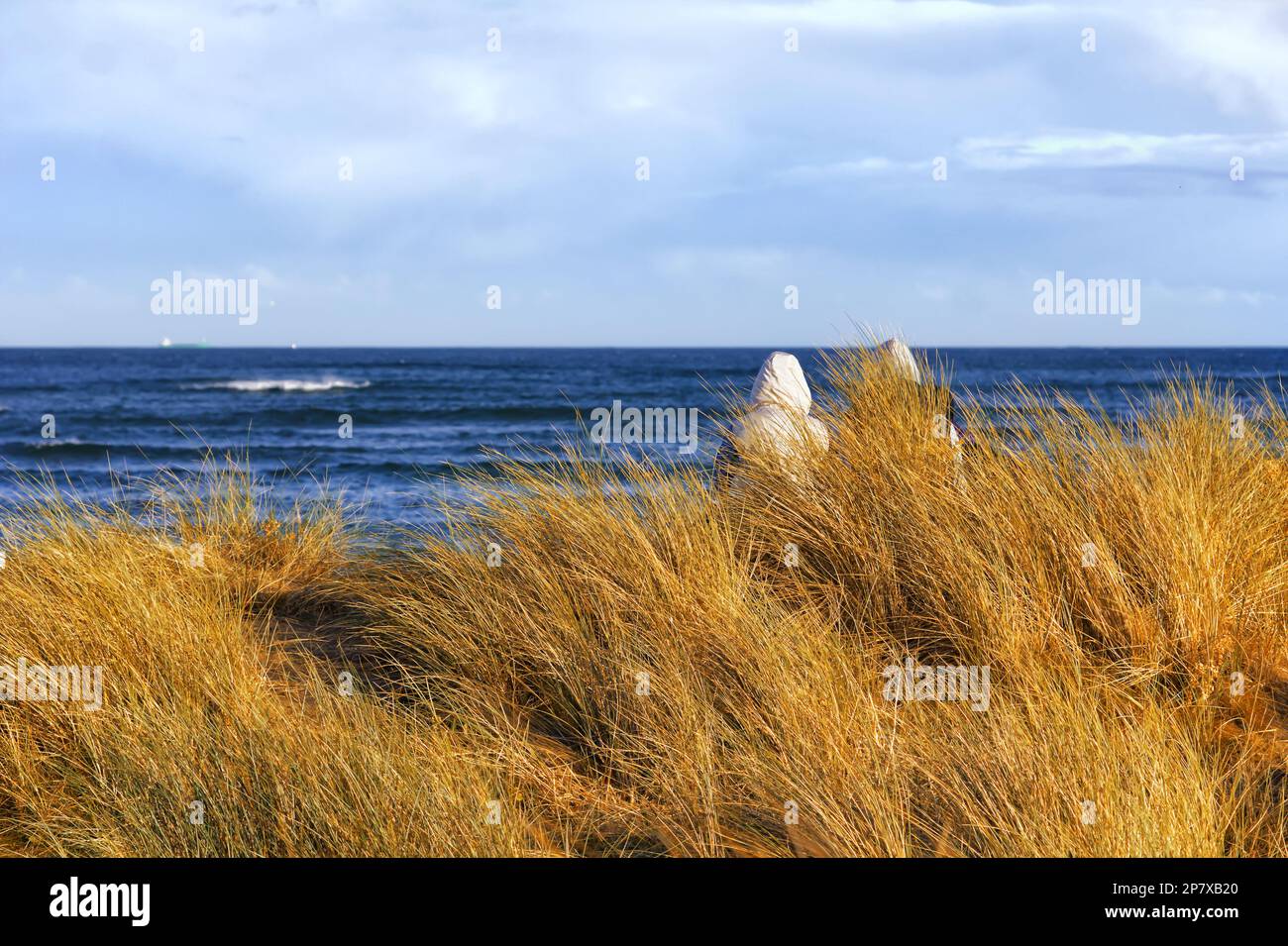 Ältere Ehepaare sitzen geschützt von einer Düne und Gras mit malerischem Meerblick Stockfoto