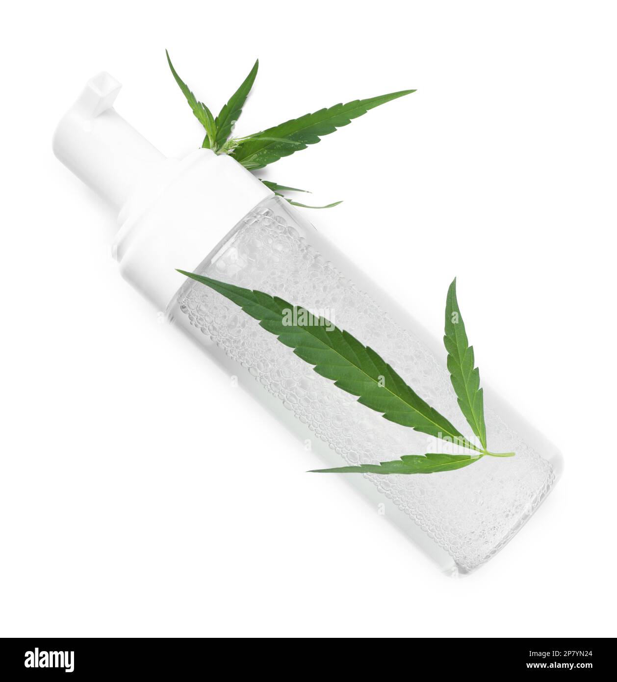 Flasche Hanfkosmetik mit grünen Blättern isoliert auf weiß, Draufsicht Stockfoto