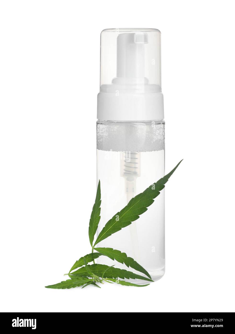 Flasche Hanfkosmetik mit grünen Blättern, isoliert auf weiß Stockfoto